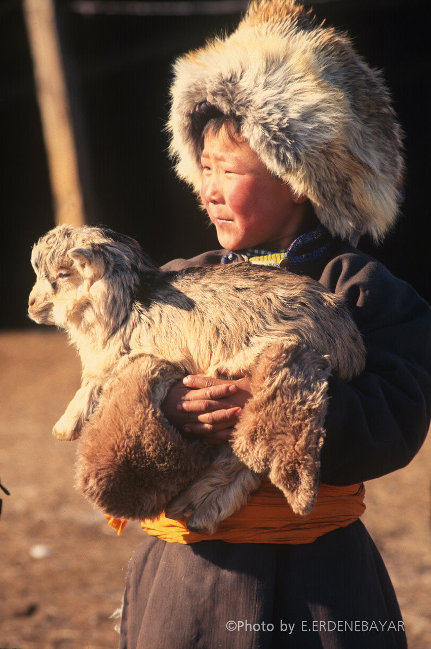 Mongolian Herder Boy